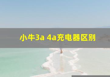 小牛3a 4a充电器区别